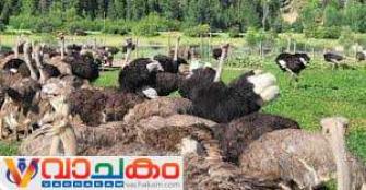 vachakam