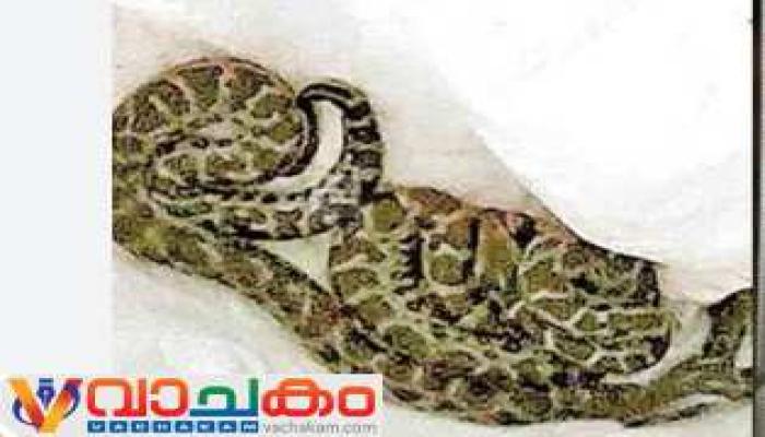 vachakam