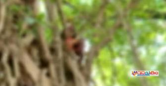 vachakam