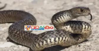 vachakam