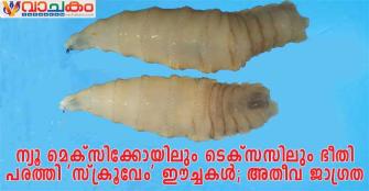 vachakam