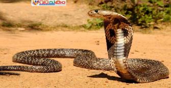 vachakam