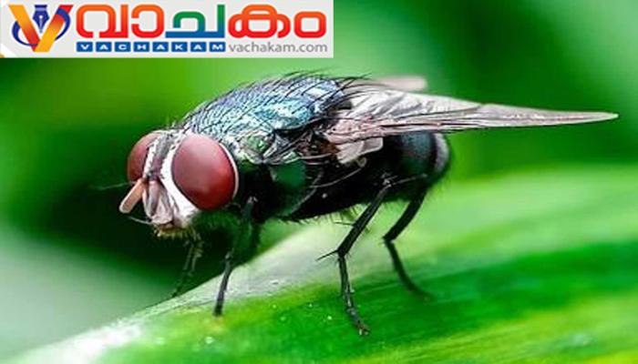 vachakam