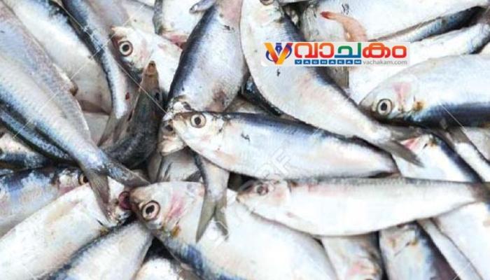 vachakam